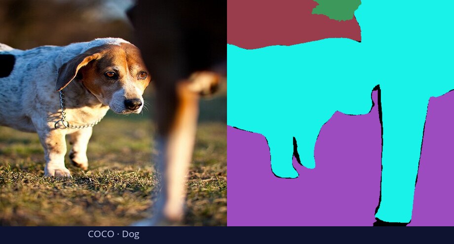 COCO — Dog — input vs DiGSeg