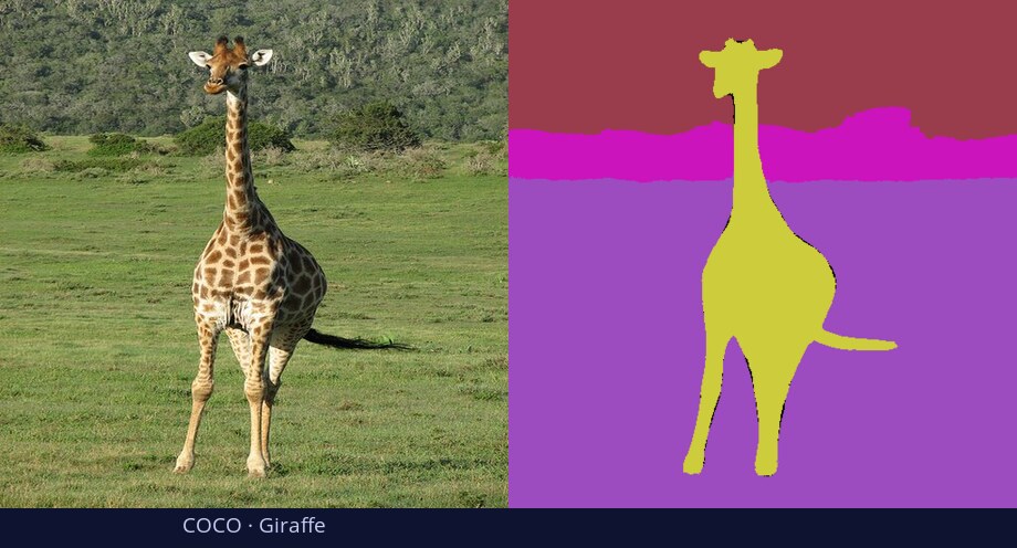 COCO — Giraffe — input vs DiGSeg