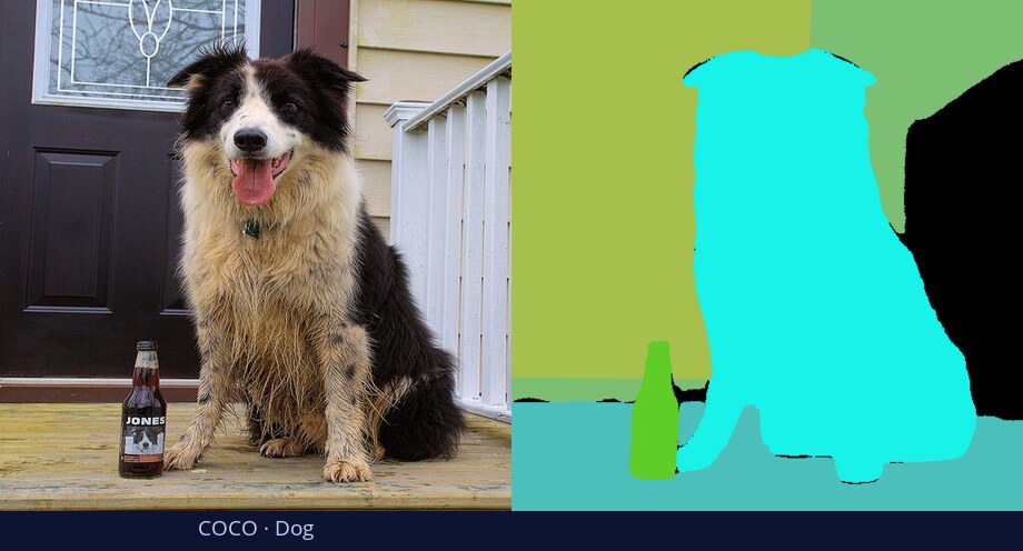 COCO — Dog — input vs DiGSeg