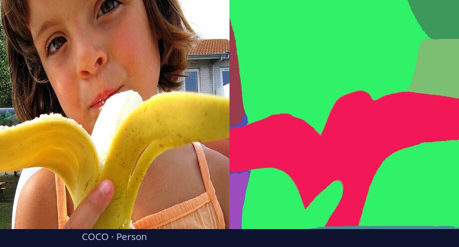 COCO — Person — input vs DiGSeg