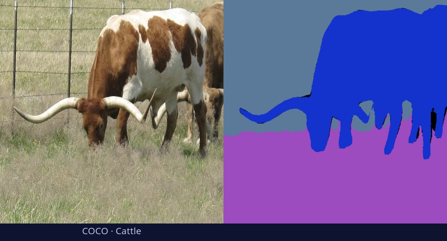 COCO — Cattle — input vs DiGSeg