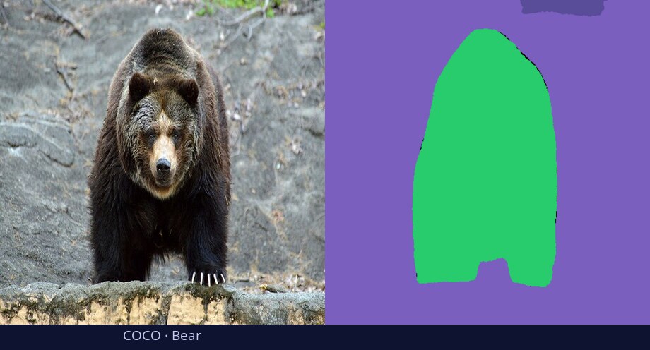 COCO — Bear — input vs DiGSeg