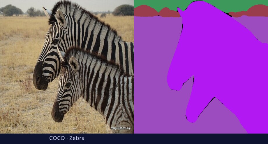 COCO — Zebra — input vs DiGSeg