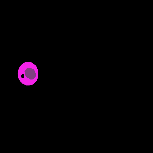 DiGSeg prediction